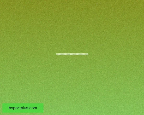 B体育官方网站登录入口最新指南助你轻松畅享赛事体验