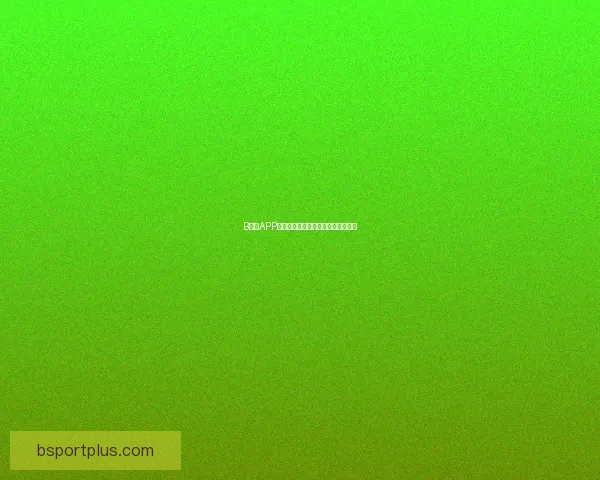 B体育APP下载安装指南与使用技巧全流程详解