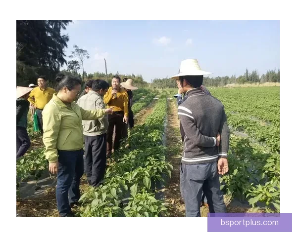 精准分析与实战经验助力体育竞猜稳稳赚，专家推荐引领投资方向